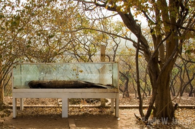 🇲🇱 Mali – Zoo National du Mali